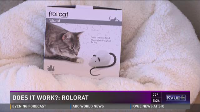 Frolicat rolorat outlet cat toy